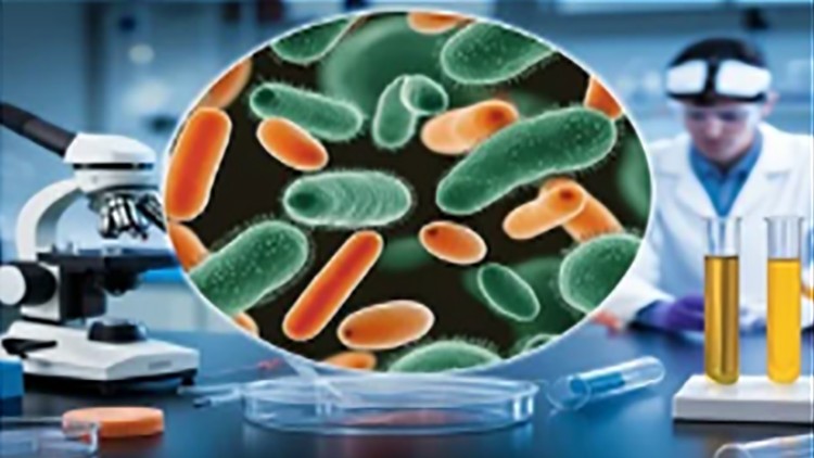 General Bacteriology: A Concise Course for College Students