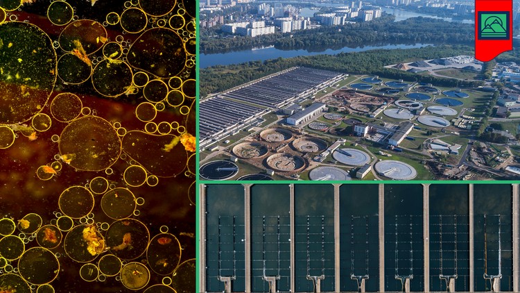 Introduction to Wastewater Treatment